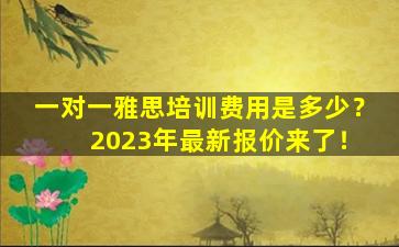 一对一雅思培训费用是多少？ 2023年最新报价来了！